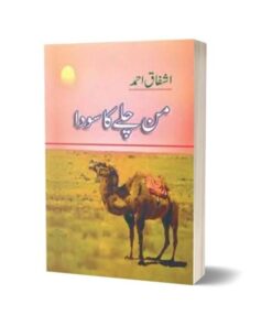 Mann Chalay Ka Sauda من چلے کا سودا By Ashfaq Ahmed