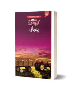 ILMI One Liner Capsule Punjabi For CSS PMS CSS