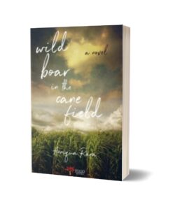 Wild Boar In The Cane Field