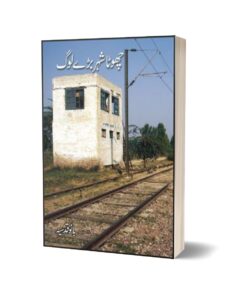 Chota Shehar Baray Log By Bano Qudsia