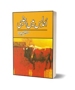 Undalis Main Ajnabi By Mustansar Hussain Tarar