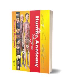 Anatomy By Siddiq Ur Rahman