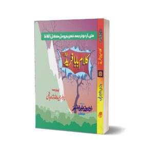 Kalam Baba Farid By Prof. Hameedullah Hashmi