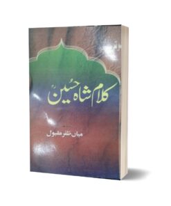 Shah Hussain By Mian Zafar Maqbool