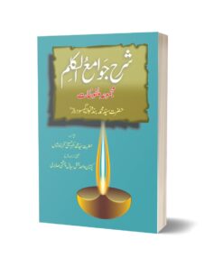 Sharah Jawame-ul-qalam By Captain Wahid Baksh Seyal