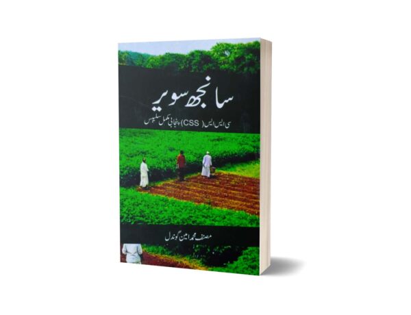 Punjabi For CSS By M Ameen Gondal 2024