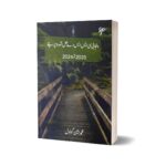 Punjabi CSS Past Paper 2020 To 2024 By M Ameen Gondal